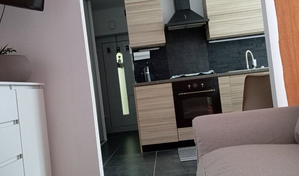 Pronájem bytu 1+1 40 m², Zastávka – náhled fotky 5