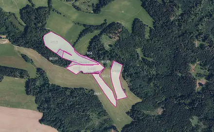 Prodej louky 51 772 m², Postřelmůvek, okres Šumperk