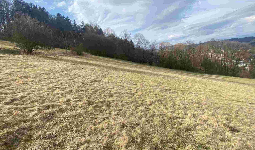 Prodej pole 9 517 m², Semily – náhled fotky 2