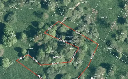 Prodej stavebního pozemku 4 929 m², Nová Ves, okres Sokolov