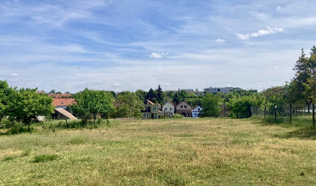 Nový Šaldorf - Sedlešovice, lisovna, 145 m2, pozemek 978 m2 vinný sklep, Nový Šaldorf-Sedlešovice – náhled fotky 10