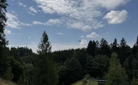 Prodej lesa 10 342 m², Jedlí, okres Šumperk