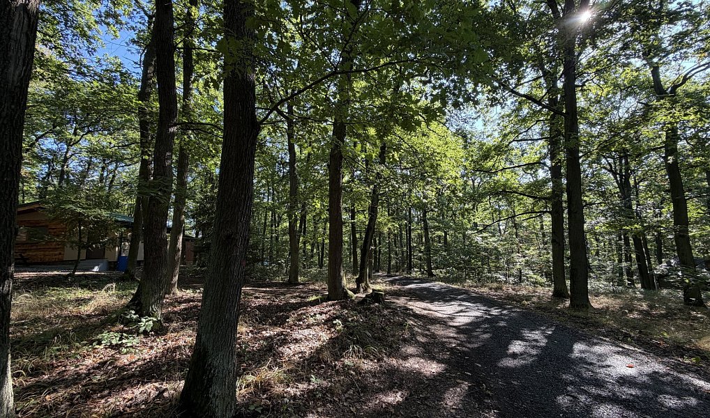 Prodej chaty/chalupy 33 m² s pozemkem 33 m², Brno – náhled fotky 50