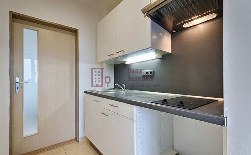 Pronájem bytu 1+kk 25 m², sídliště Vajgar, Jindřichův Hradec - Jindřichův Hradec III