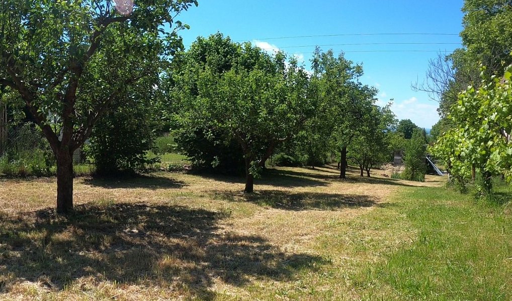 Prodej stavebního pozemku 846 m², Adamov – náhled fotky 11