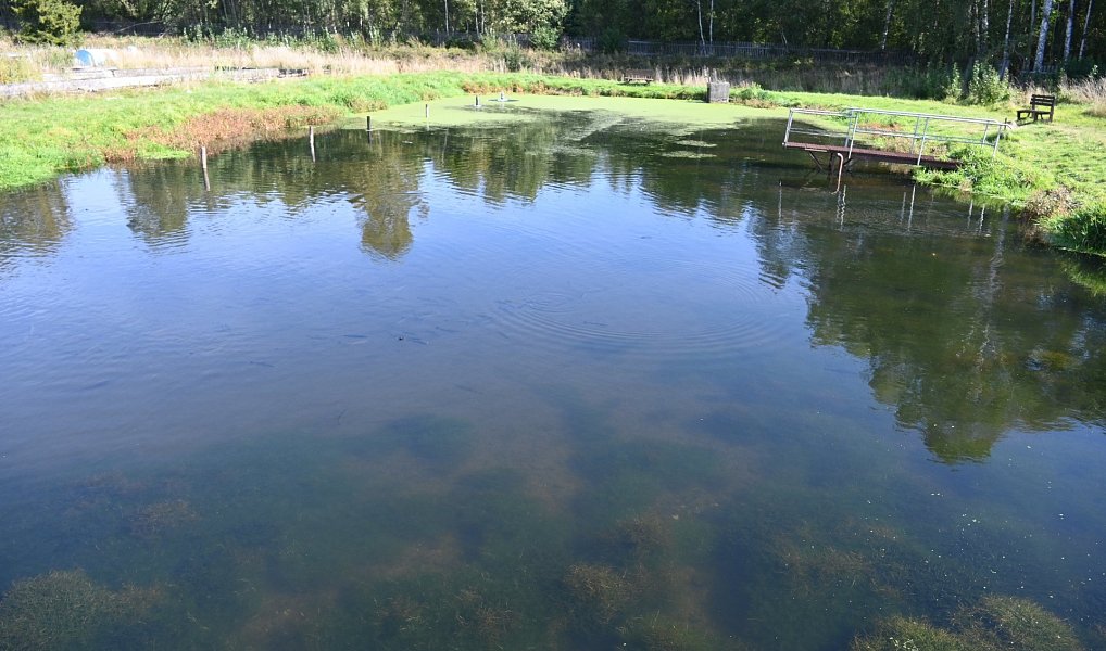Prodej komerčního objektu (jiného typu) 5 700 m², Lomnice – náhled fotky 4