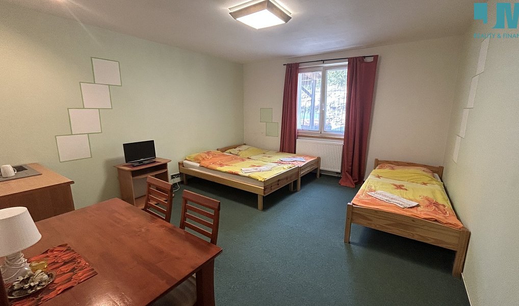 Pronájem bytu 1+kk 30 m², Dačice – náhled fotky 4