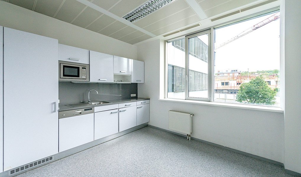 Pronájem kanceláře 364 m², Ořech – náhled fotky 5