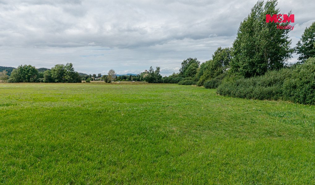 Prodej louky 14 822 m², Jestřebí – náhled fotky 5