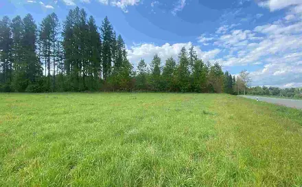 Prodej pozemku 7 130 m², Břidličná - Vajglov, okres Bruntál