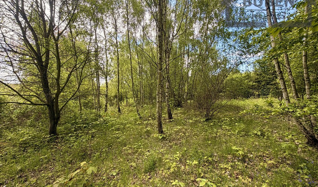 Prodej stavebního pozemku 435 m², Lestkov – náhled fotky 5