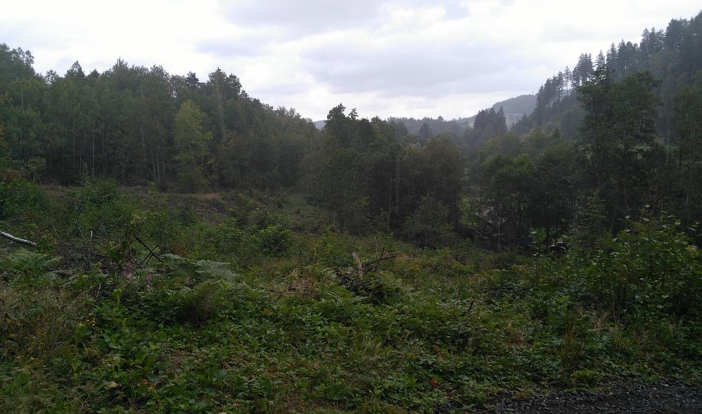 Prodej zahrady 7 879 m², Košťálov – fotka 1 z 3