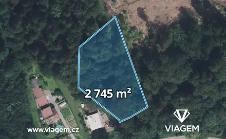 Prodej lesa 2 745 m², Ústí nad Orlicí