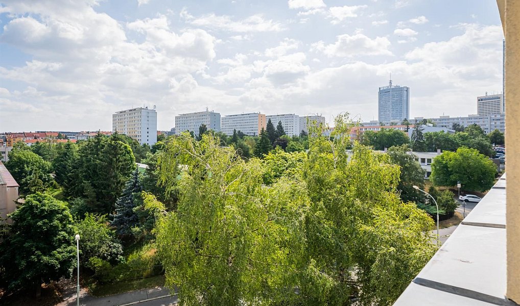 Pronájem bytu 3+1 68 m², Praha – náhled fotky 29