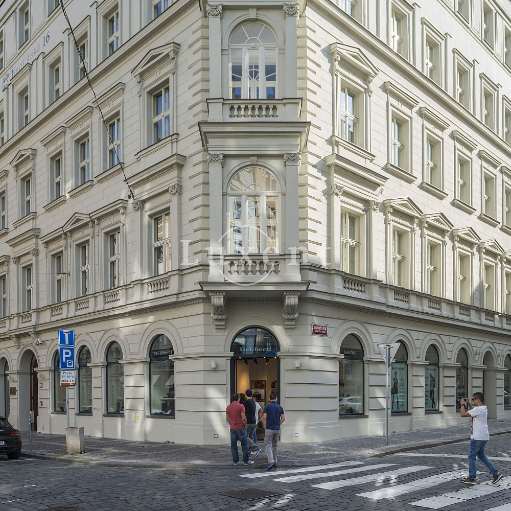Pronájem kanceláře 243 m² – fotografie 5