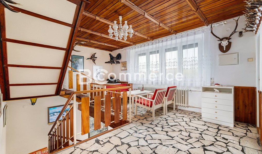 Prodej domu 270 m² s pozemkem 4 446 m², Dolní Kounice – náhled fotky 19