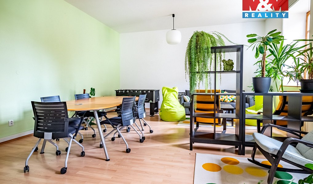Prodej obchodních prostor 615 m², České Budějovice – náhled fotky 3