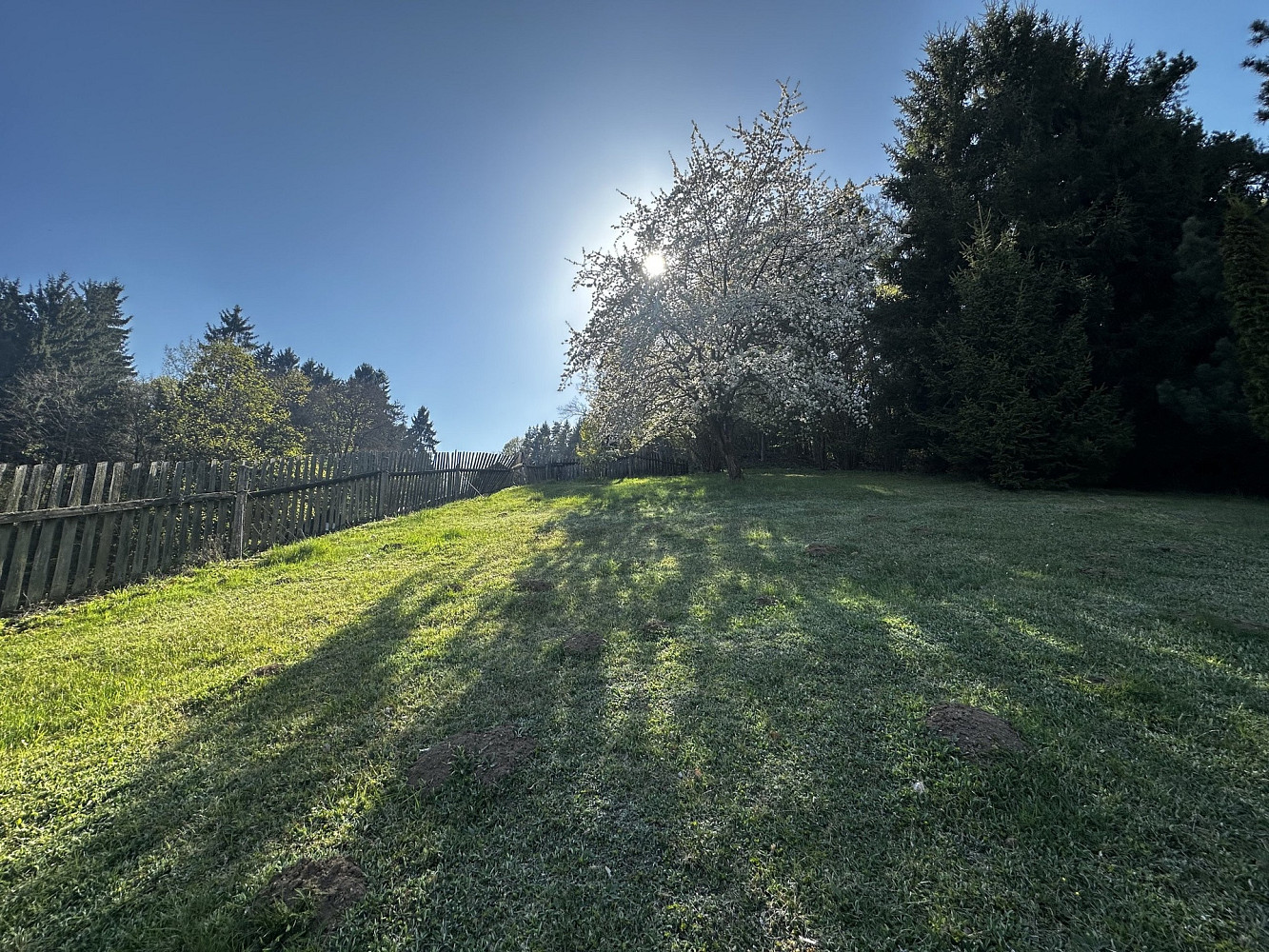 Prodej stavebního pozemku 3 706 m² – fotografie 3