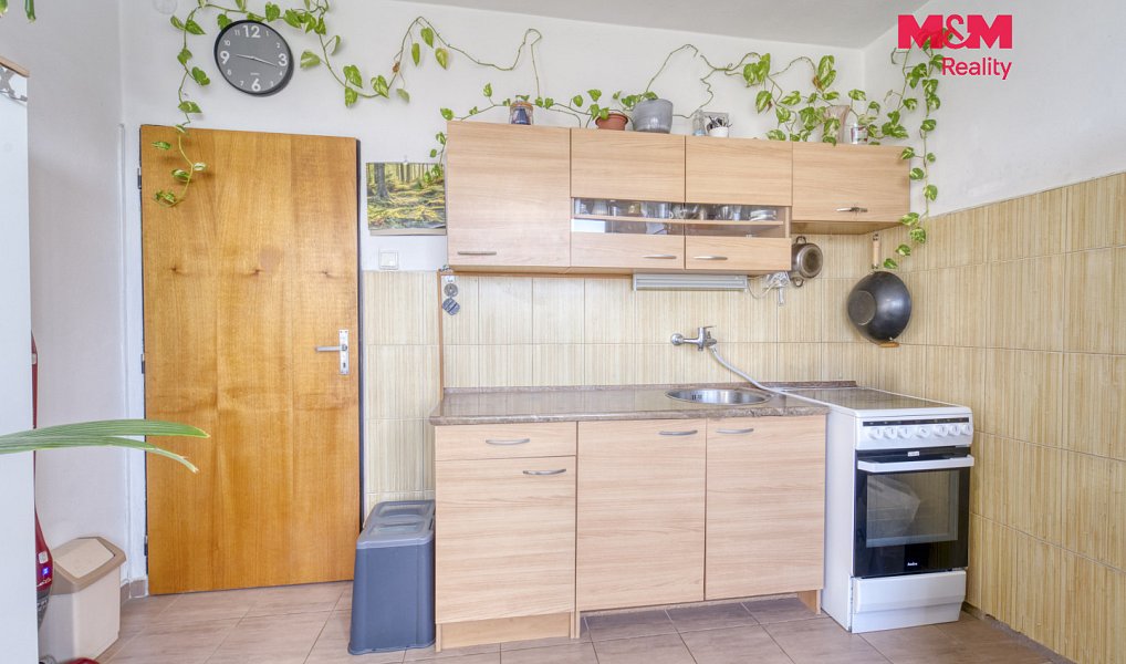 Pronájem bytu 1+1 34 m², Plzeň – náhled fotky 2