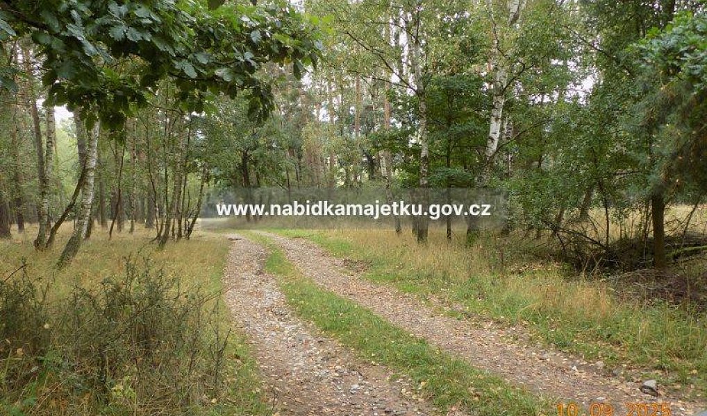 Prodej pozemku 5 619 m², Pláně – náhled fotky 2