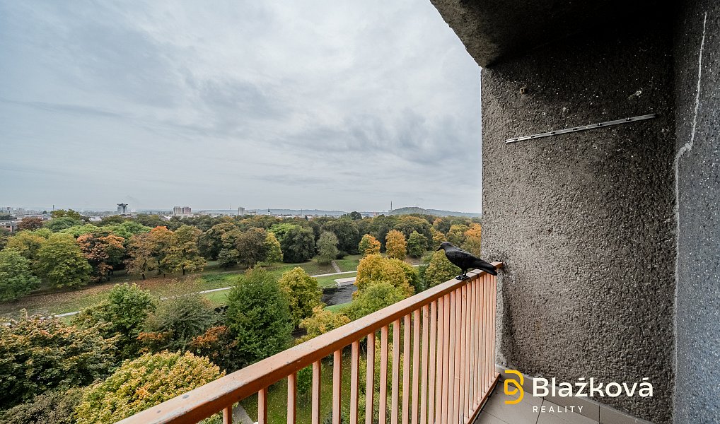 Pronájem bytu 1+1 30 m², Ostrava – náhled fotky 6