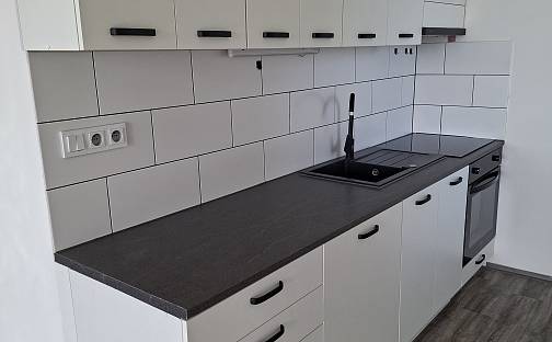 Pronájem bytu 3+1 73 m², Kopistská, Litvínov, okres Most