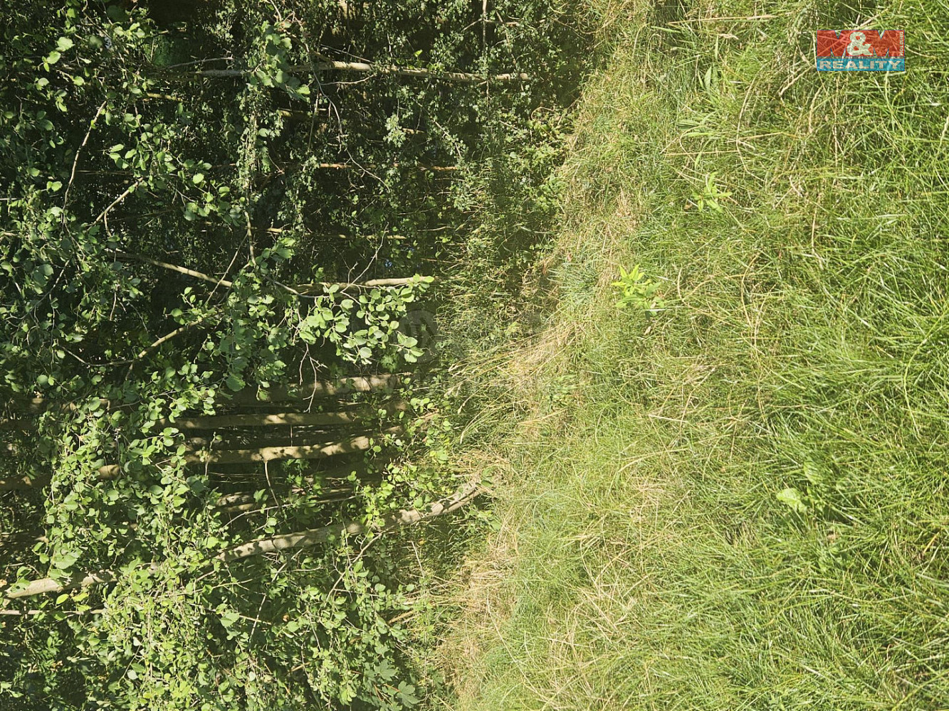 Prodej pole 846 m² — photo 5