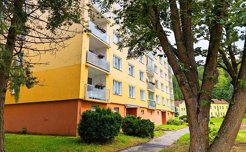 Prodej bytu 1+kk 22 m², B. Smetany, Kraslice, okres Sokolov