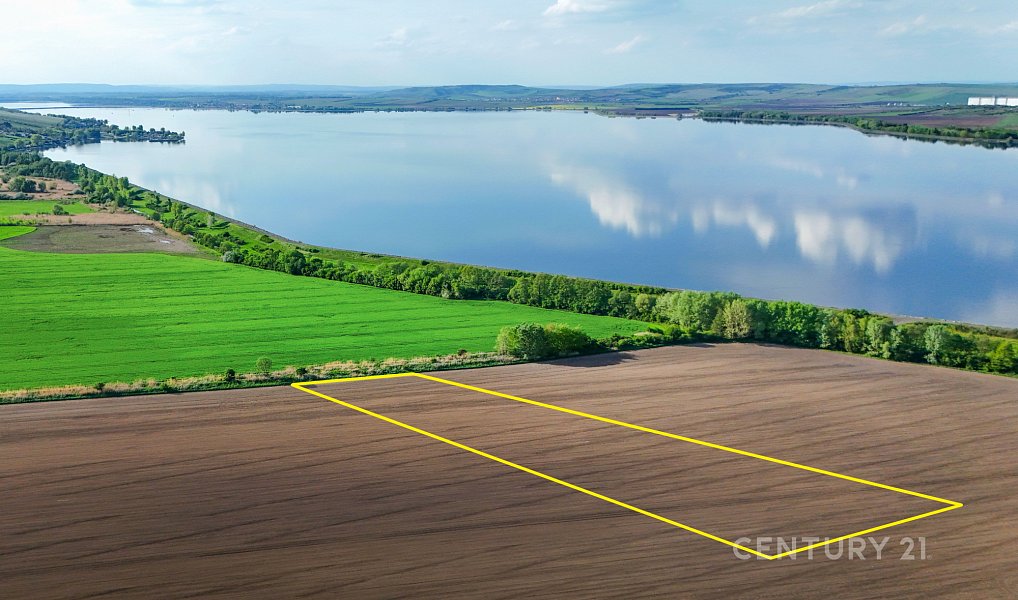 Prodej pole 9 682 m², Pavlov – náhled fotky 3