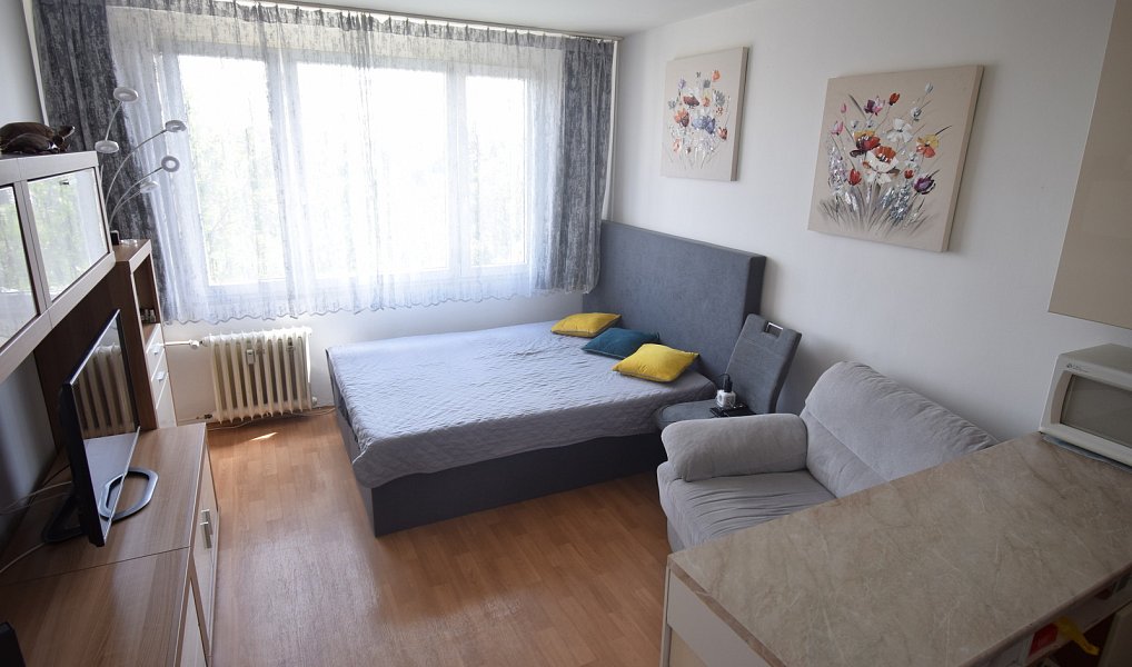 Prodej bytu 1+kk 24 m², Praha – náhled fotky 2