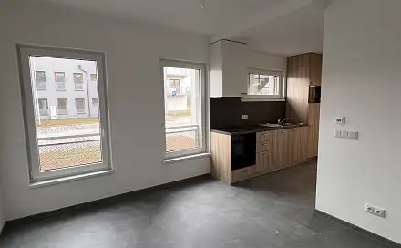 Pronájem bytu 1+kk 21 m², Třešňová, Znojmo - Přímětice