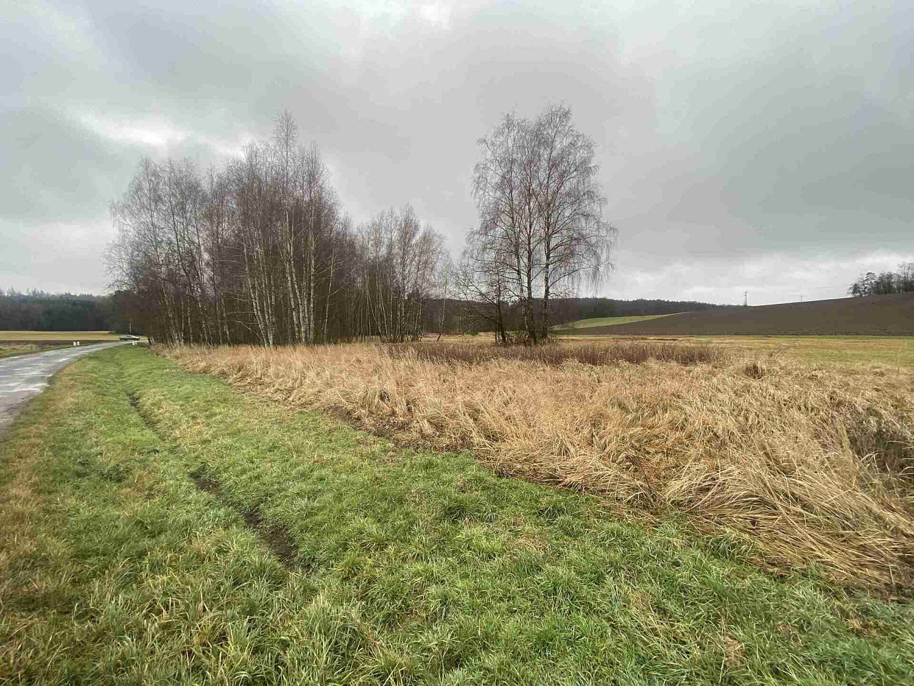 Prodej pozemku 10 244 m² – fotografie 4