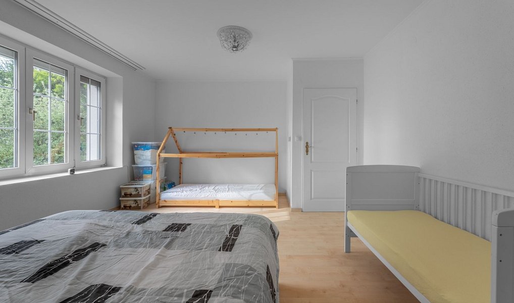 Prodej domu 289 m² s pozemkem 3 375 m², Družec – náhled fotky 25