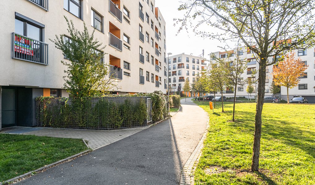 Pronájem bytu 2+kk 37 m², Praha – náhled fotky 12