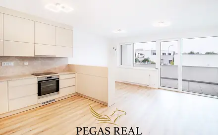 Pronájem bytu 1+kk 43 m², Kumpoštova, Brno - Sadová