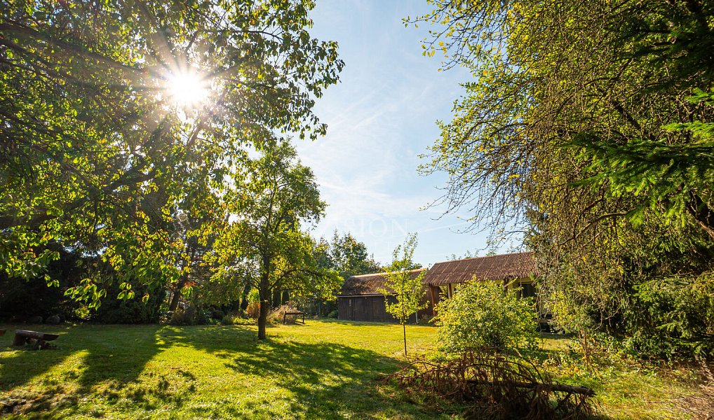 Prodej chaty/chalupy 35 m² s pozemkem 1 798 m², Dívčí Kopy – náhled fotky 11