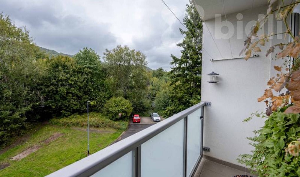 Prodej bytu 3+1 68 m², Děčín – náhled fotky 18