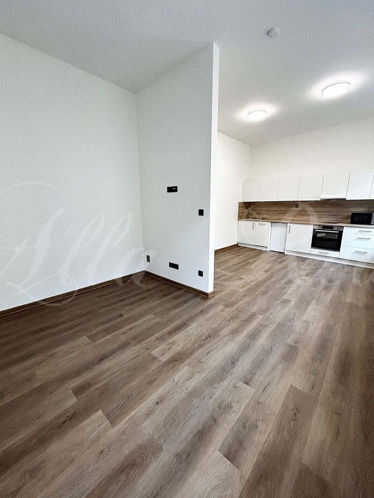 Pronájem bytu 2+kk 50 m² – fotografie 2