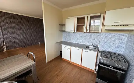 Pronájem bytu 1+1 33 m², Brněnská, Most