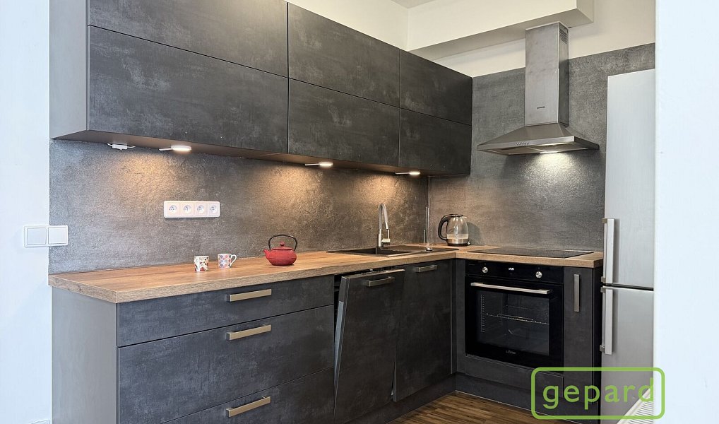 Pronájem bytu 1+1 41 m², Olomouc – náhled fotky 3