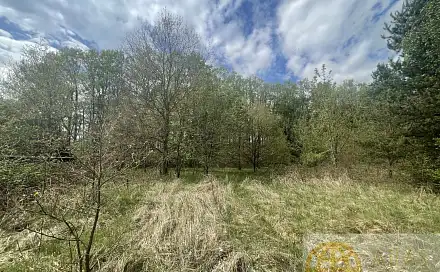 Prodej stavebního pozemku 1 132 m², Wilsonova, Soběslav - Soběslav III, okres Tábor