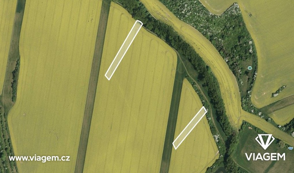 Prodej pole 531 m², Zdounky – náhled fotky 2