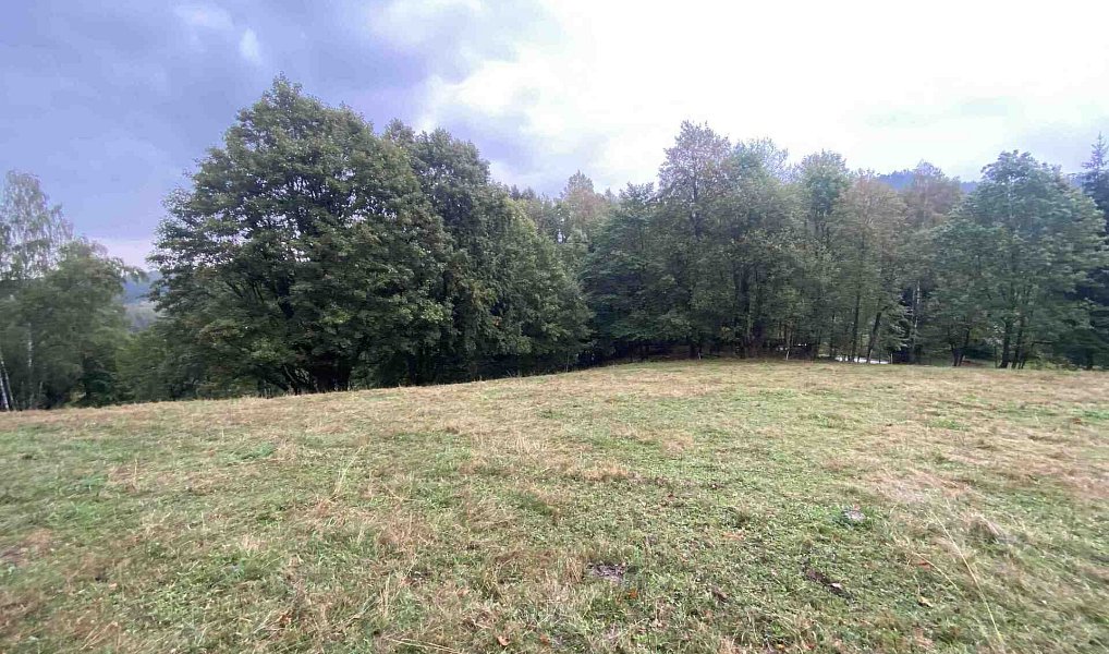 Prodej stavebního pozemku 3 849 m², Benešov nad Černou – náhled fotky 12