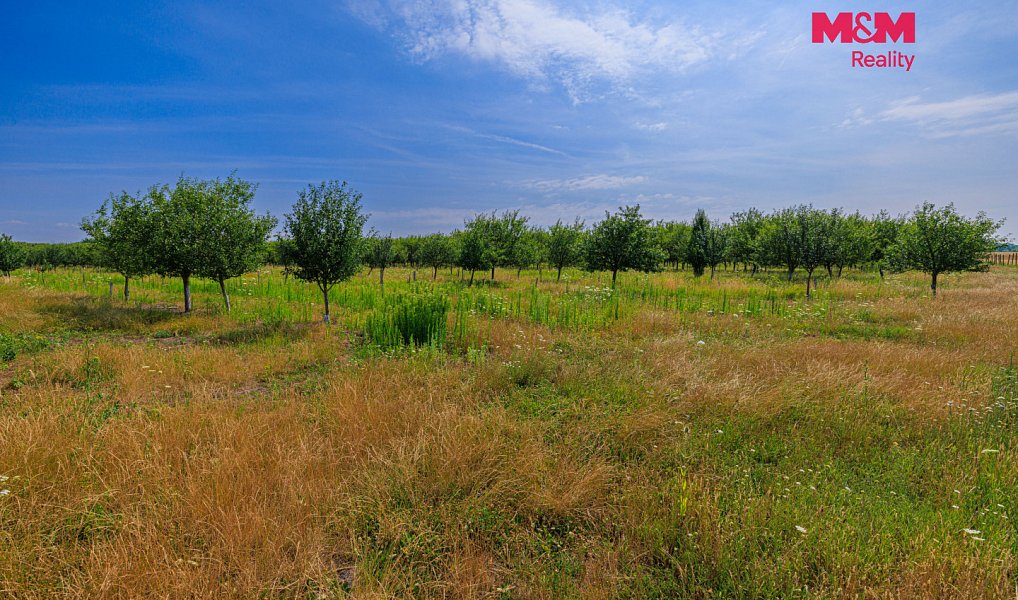 Prodej pole 12 442 m², Rakvice – náhled fotky 14