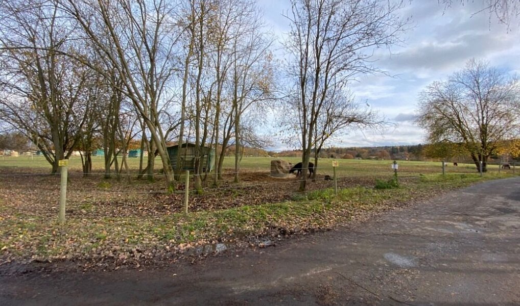 Prodej stavebního pozemku 878 m², Cheb – náhled fotky 13