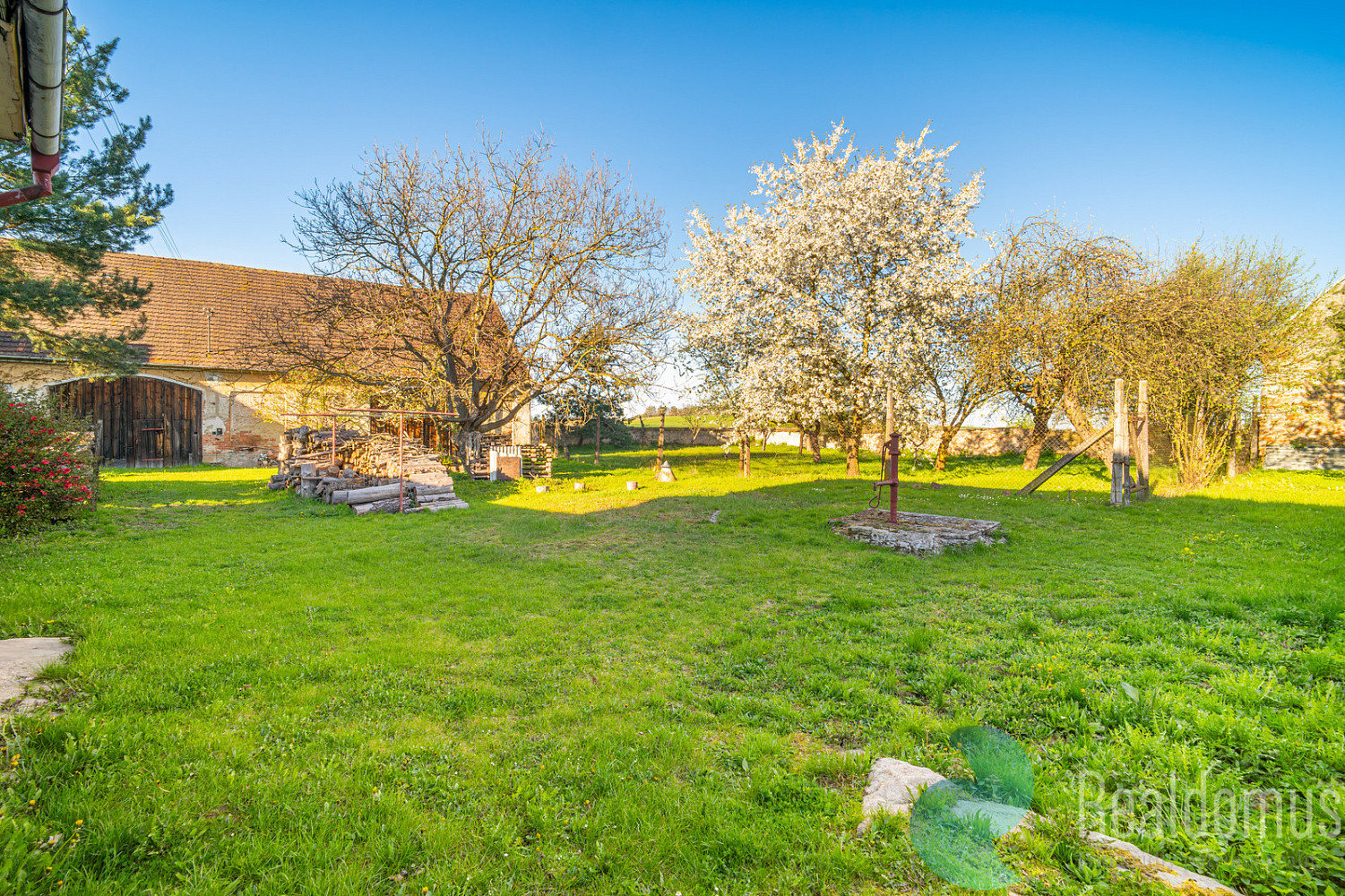 Prodej zemědělského objektu 232 m² – fotografie 3