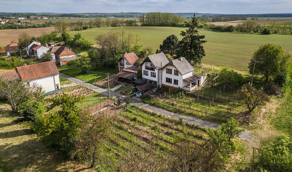 Prodej vinného sklepa s vinohradem ve Skoronicích, sklep + vinohrad Skoronice, Skoronice – náhled fotky 9