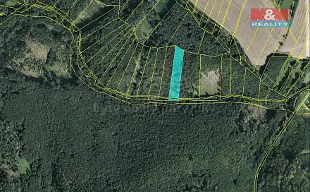 Prodej lesa 2 021 m², Vranová Lhota, okres Svitavy