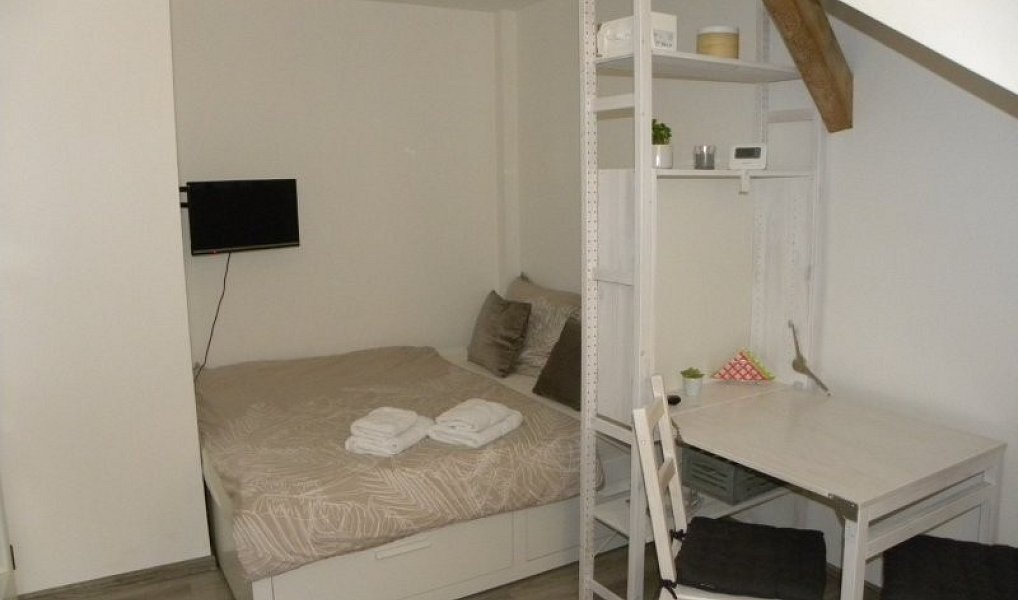 Pronájem bytu 1+kk 24 m², Jihlava – náhled fotky 6