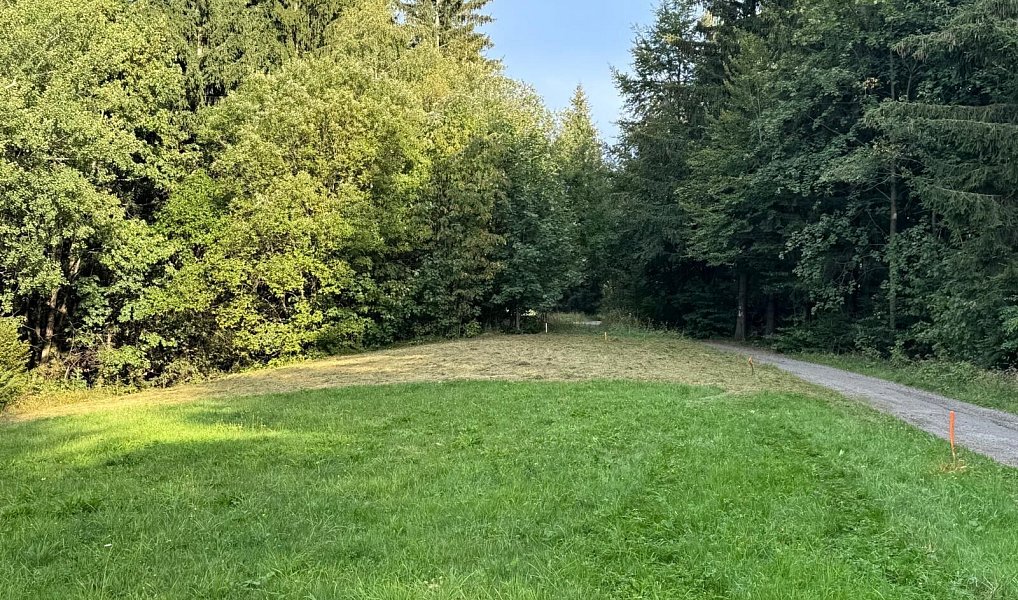 Prodej pozemku 1 194 m², Hutisko-Solanec – náhled fotky 12